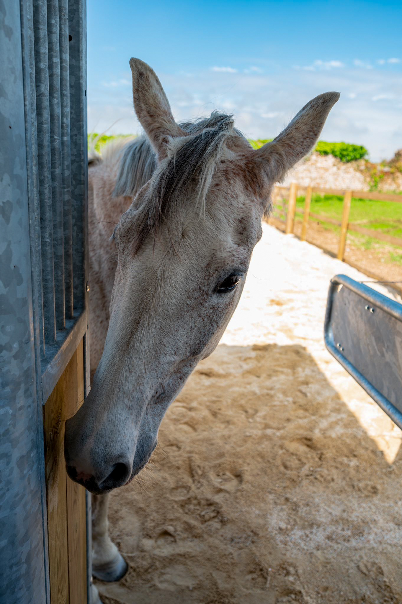 Zone stabilisée et points d'intérêt de l'écurie active