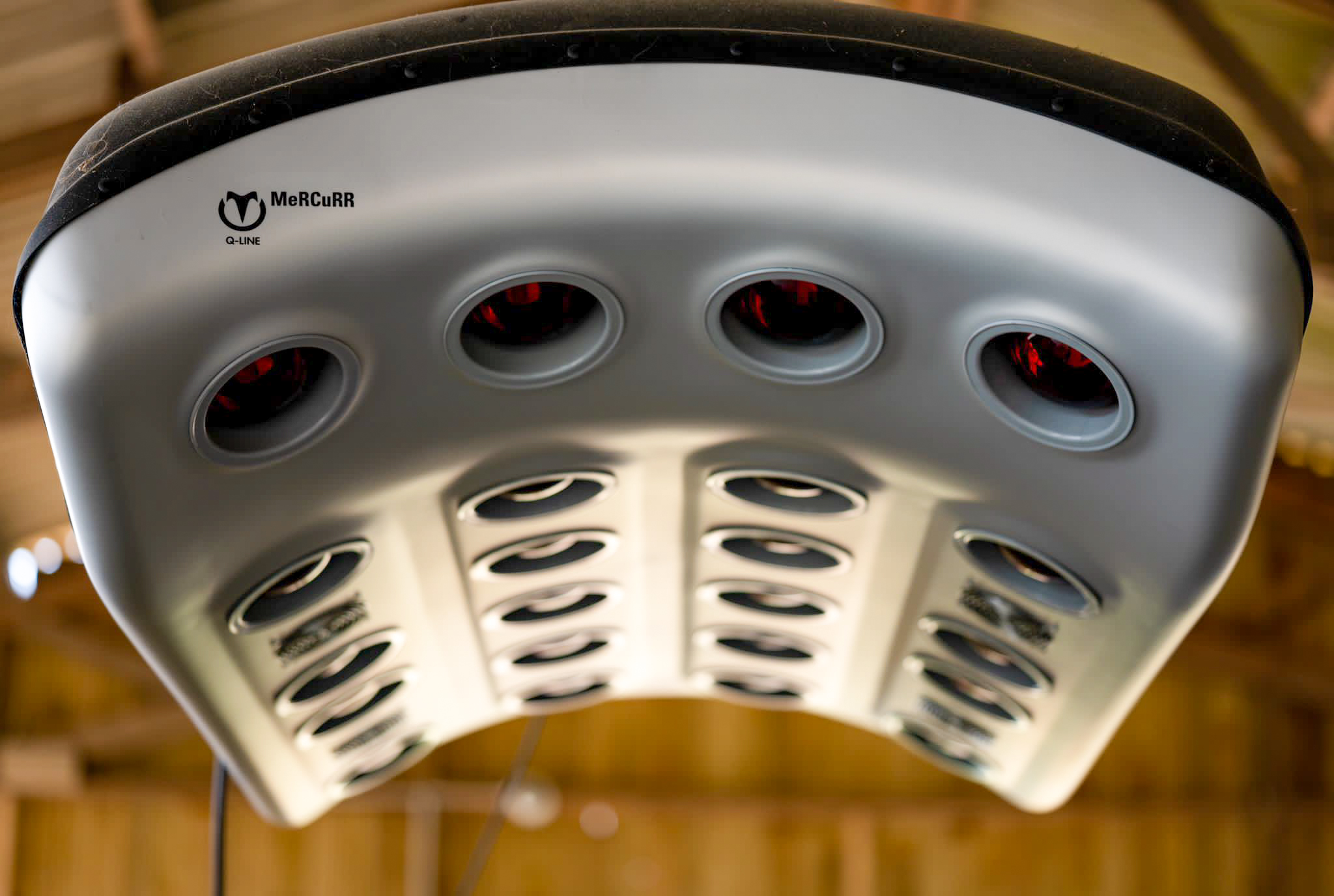 Chevaux en zone de roulade