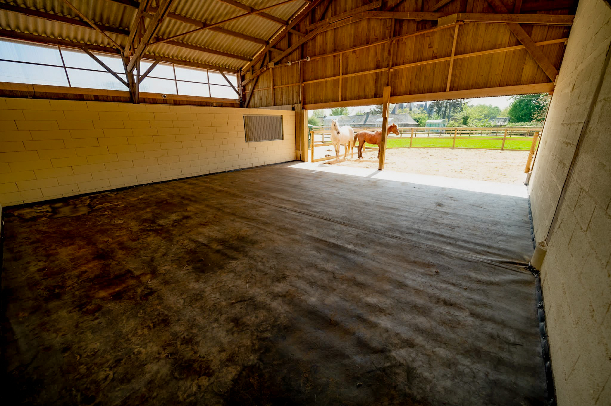 Bar de pierres à sel et brosses