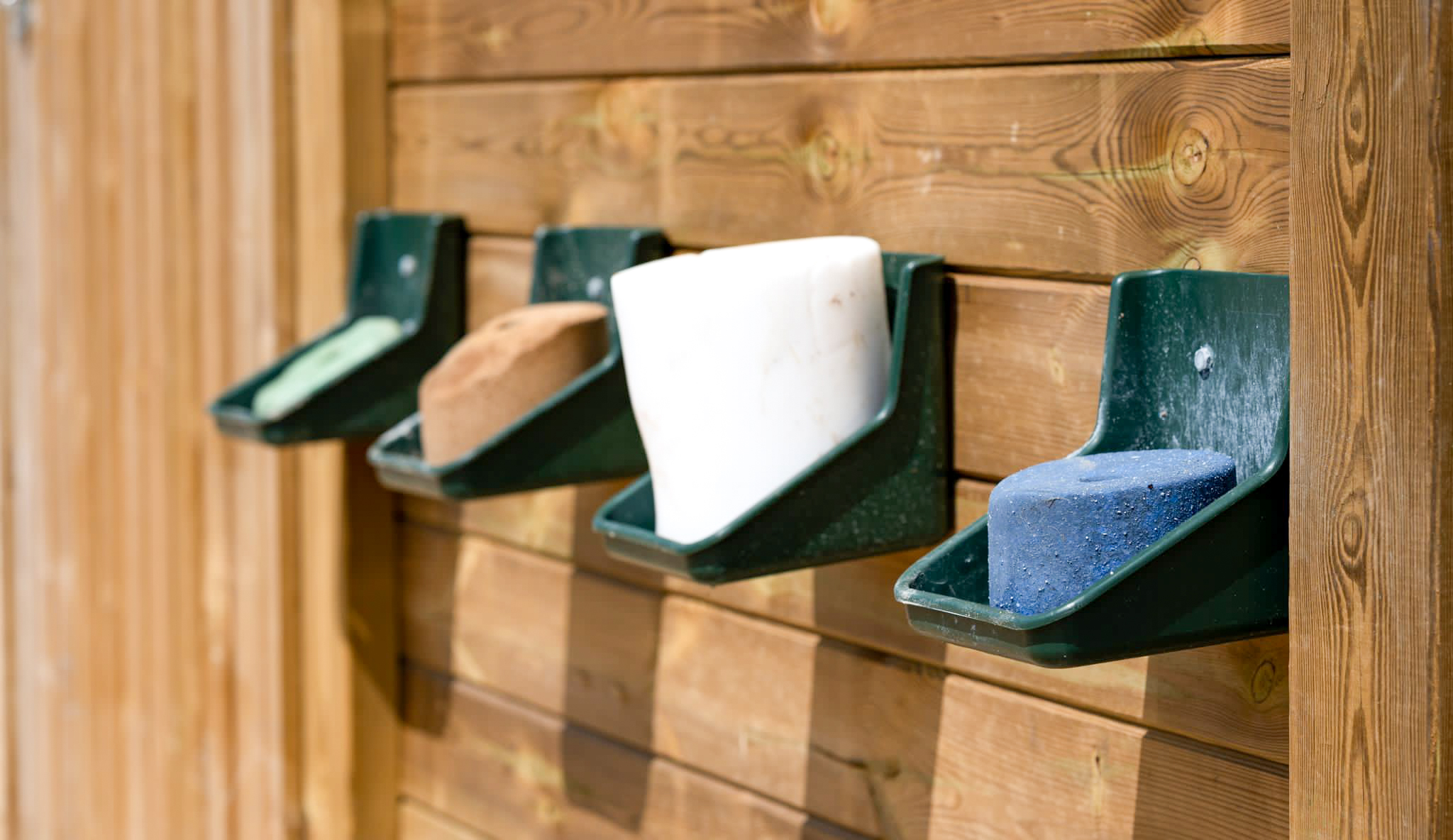 Troupeau de l'écurie active sur les prairies