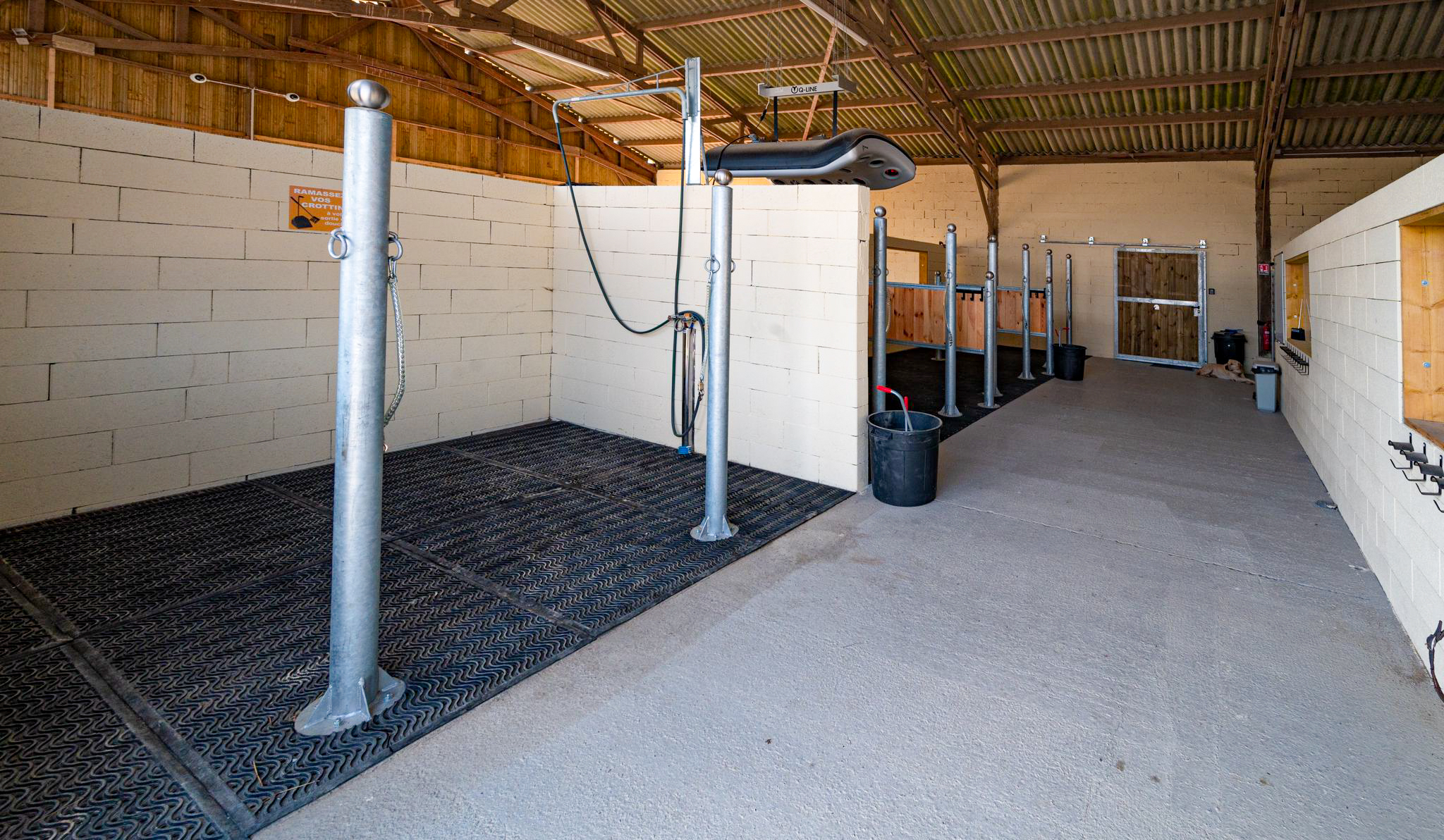 Troupeau de l'écurie active sur les prairies