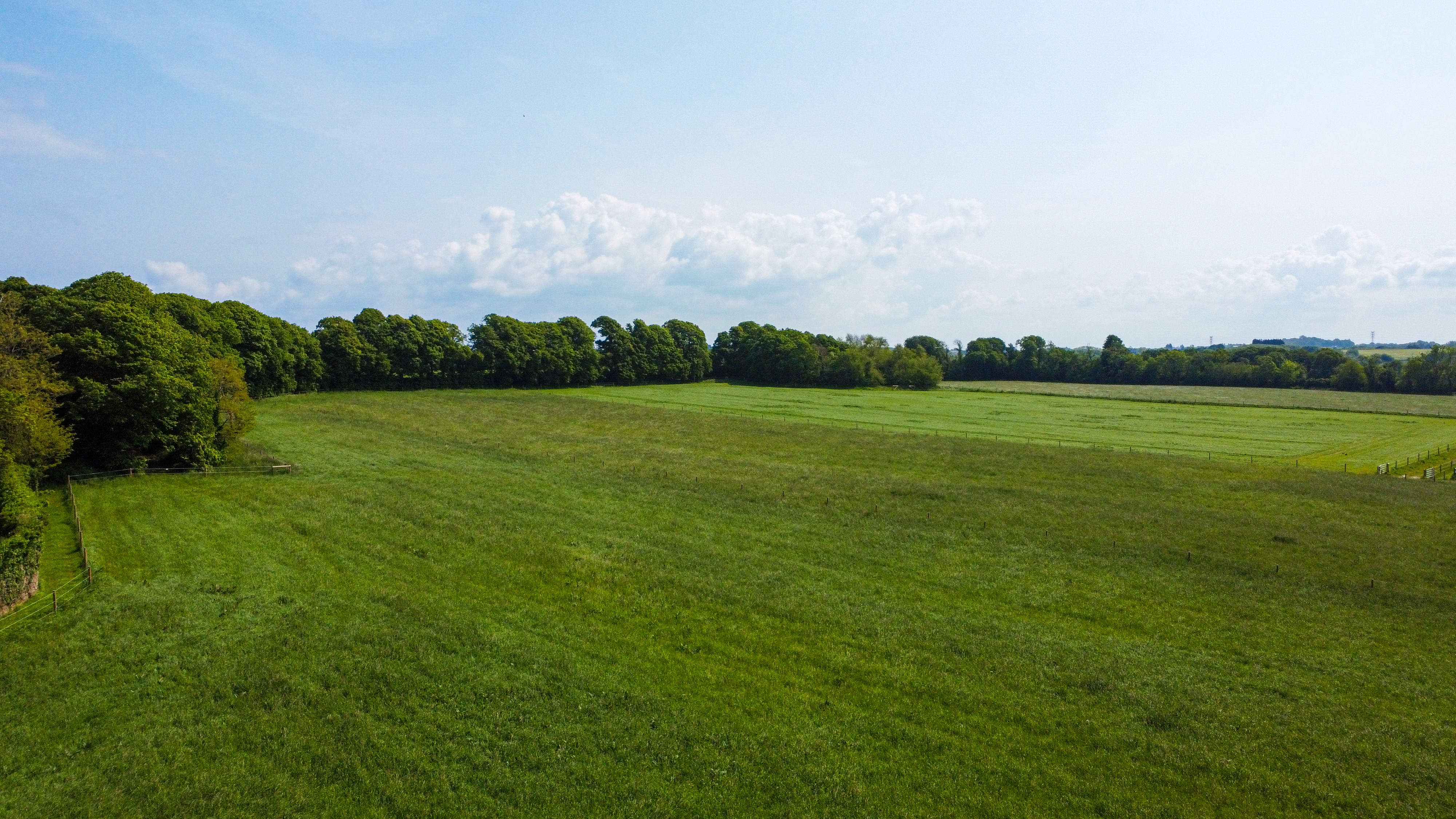 Pension pré château — chevaux en groupe avec abri et grande prairie